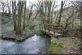 Swimbridge : Stream & Footbridge