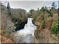 NS8841 : Falls of Clyde, Corra Linn by David Dixon