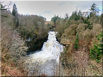 NS8841 : Falls of Clyde, Corra Linn by David Dixon