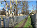 TQ4173 : Green Chain Walk, Mottingham by Des Blenkinsopp