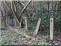 Cable posts by the former Mill Hill East to Edgware railway line