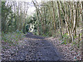 The course of the former Mill Hill East to Edgware railway line between Sanders Lane and Devonshire Road (4)