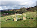 SO0659 : Llwybr o dan Broomy Hill / Path below Broomy Hill by Alan Richards
