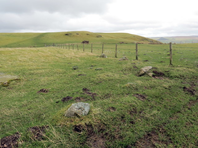 Cylch cerrig Bryn Gilwern / Gilwen Hill stone circle