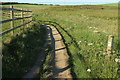 Coast path near The Salt House