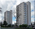 Tower blocks, Clarence Avenue