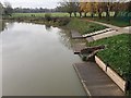 SP2965 : River level has fallen slightly, Warwick by Robin Stott