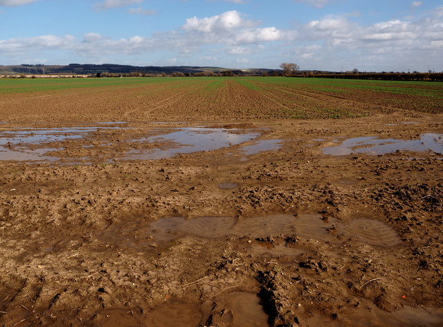 Water-logged field in East Yorkshire
