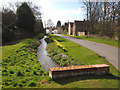 The Stream and Daffodils in Ellerker