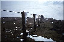 NS9534 : Rime ice on fence near the summit of Tinto by Colin Park