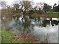 Pond by Aylesbury Road, Mobwell (2)