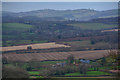 West Bagborough : Countryside Scenery