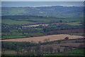 West Bagborough : Countryside Scenery