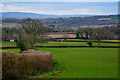 West Bagborough : Grassy Field