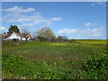 A field at South Tankerton