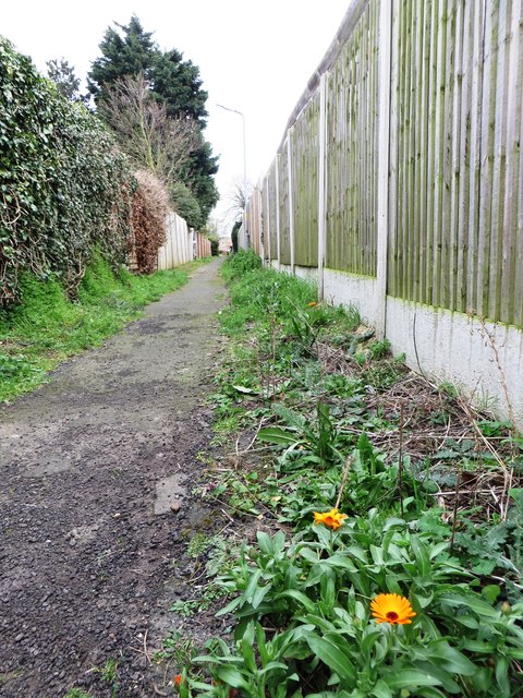 Footpath from Blenheim Road to Park Road