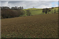 View from the Foss Walk near Beckfield House Farm