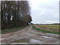 Track towards Hayton Field Farm