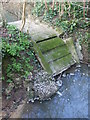 ST8373 : A leat on the By Brook by Neil Owen