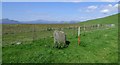 SH6032 : Standing stone forming part of Fonllech prehistoric stone row by Sandy Gerrard