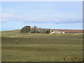 View northeast from the Formartine and Buchan Way...