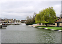 TL4659 : The Cam at Riverside by John Sutton