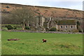 SO2827 : A wire-haired dachsund in the field by Llanthony Priory by Andrew Abbott