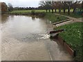 SP2965 : Further rain has brought river level up again, Warwick by Robin Stott