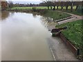 SP2965 : River level remains high and is about the same as the previous day, Warwick by Robin Stott