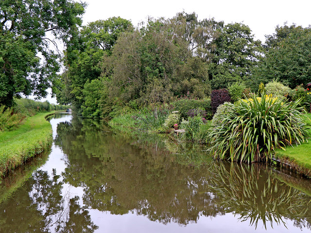 Canal at Acton Trussell in Staffordshire © Roger D Kidd cc-by-sa/2.0 ...