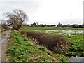 Flooded field near West End