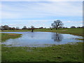 Flooded field