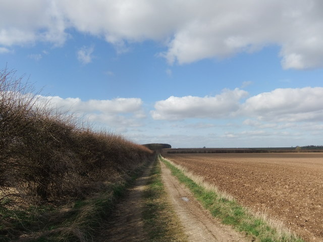 Farm track towards the Long Close Plantation