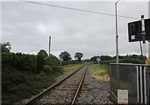 W2792 : Railway to Mallow by Jonathan Thacker