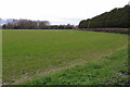 Field by Long Marston Road