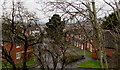 Through trees towards Conway Croft, Newport