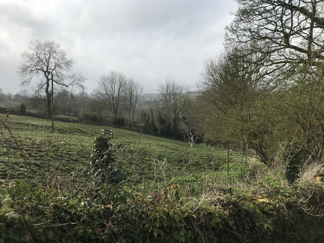 View of fields from Bartonend Lane