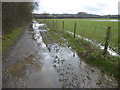 TQ5545 : Muddy footpath at Haysden Country Park by Marathon