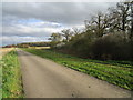 Farm track alongside the Car Dyke