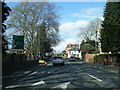 A38 at Gheluvelt Park