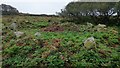 Prehistoric round house on Grumbla Common