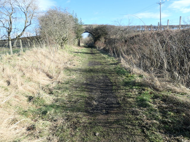 One of the two overbridges on the Tees... © Christine Johnstone cc-by ...