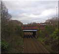 Railway lines at Belle Vue