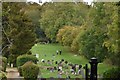 Chesham Bois Burial Ground