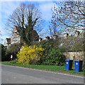 Newton: blue bins at Dairy Farm