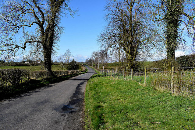 Grass verge along Bencran Road © Kenneth Allen :: Geograph Ireland