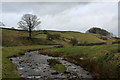 Looking up the Valley created by Long Preston Beck