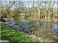 Abbey River, Chertsey