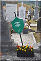 S7237 : Rebel Grave, St Mullins by N Chadwick