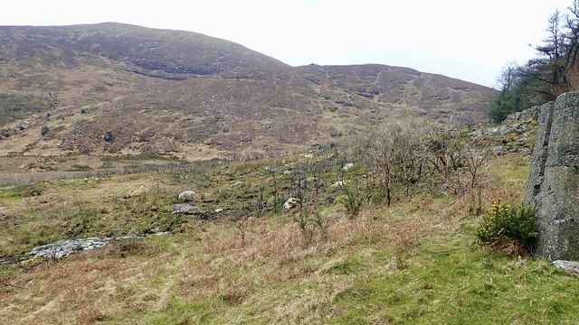 Part of the 2018 fire ground on the moraine above the Tullybranigan Valley wetland